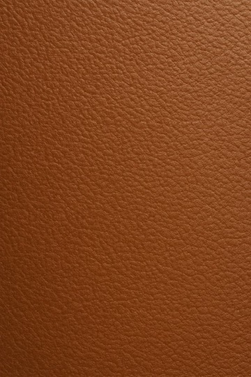 Leather-like Materials